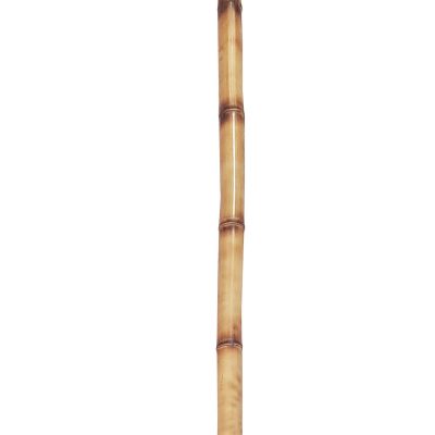 چوب-بامبو